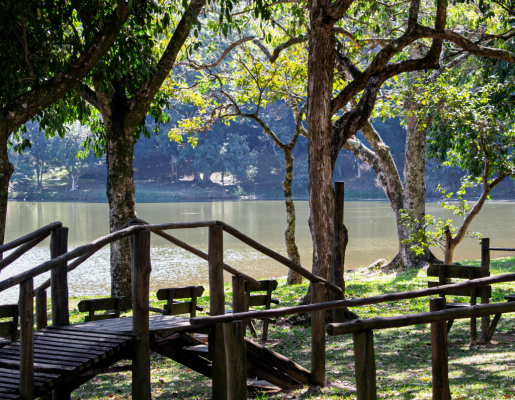 Foto - Lago Municipal Iria da Motta e Silva