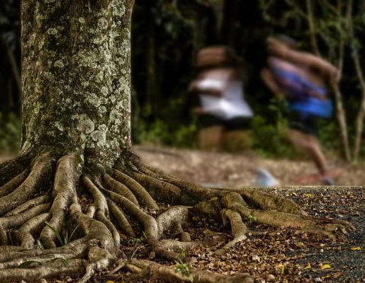 Foto - Lago Municipal Iria da Motta e Silva
