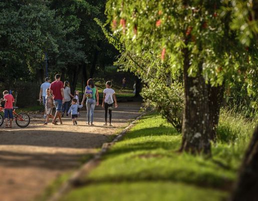 Foto - Lago Municipal Iria da Motta e Silva